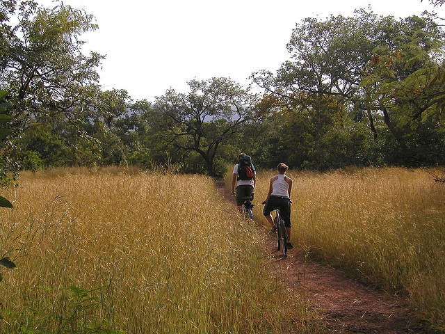 ruta de bici